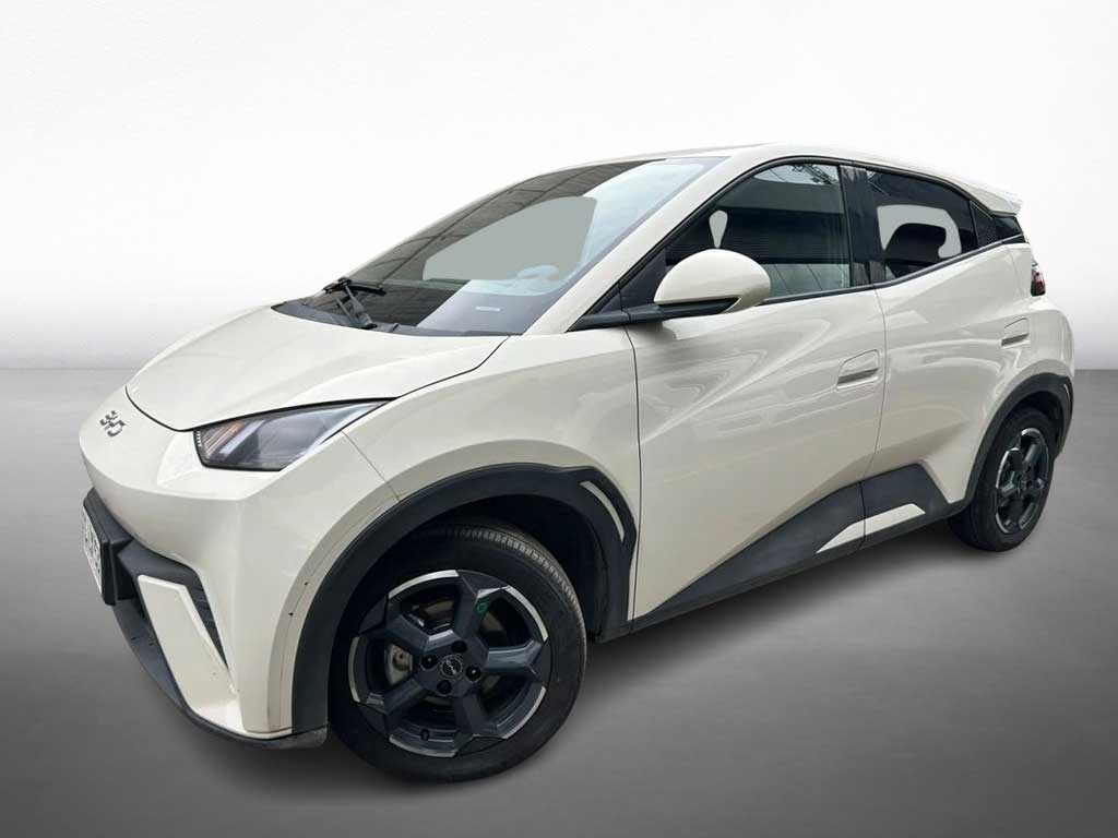 BYD DOLPHIN MINI 2025