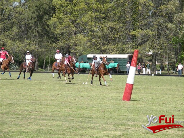 Partido 4