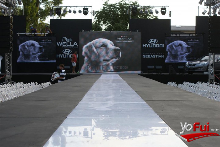 Fotografía en Desfile de Purina Pro Plan, Pinamar Moda Look 2010