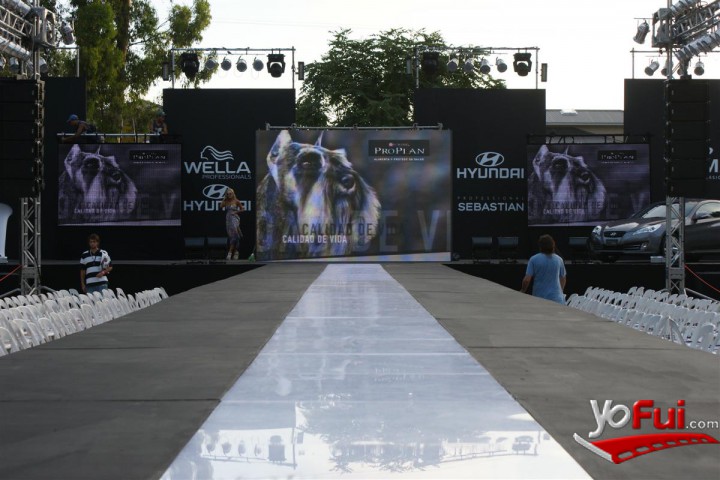 Fotografía en Desfile de Purina Pro Plan, Pinamar Moda Look 2010