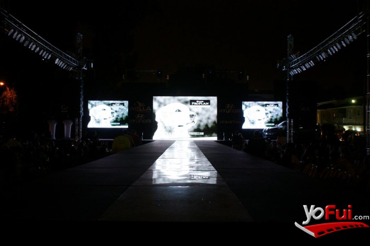 Fotografía en Desfile de Purina Pro Plan, Pinamar Moda Look 2010