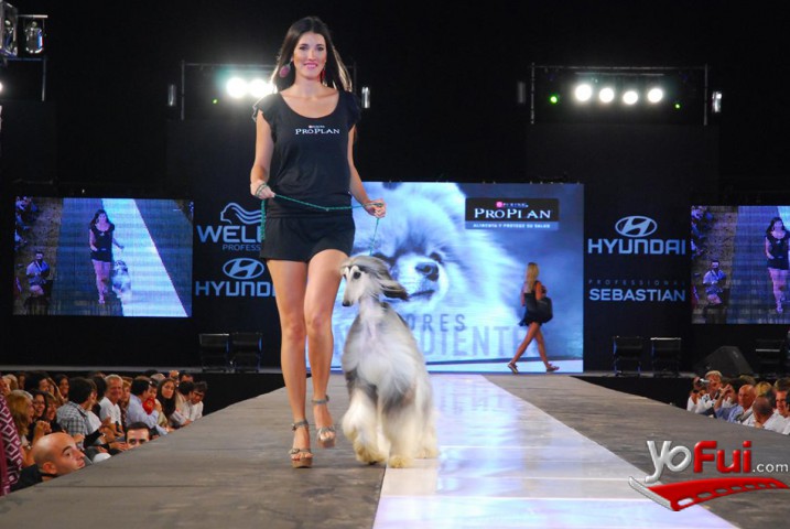 Fotografía en Desfile de Purina Pro Plan, Pinamar Moda Look 2010