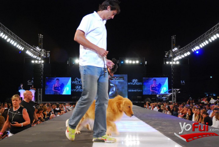 Fotografía en Desfile de Purina Pro Plan, Pinamar Moda Look 2010