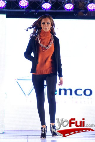 Fotografía en Desfile de la Plaza del Agua 2011, Plaza del Agua