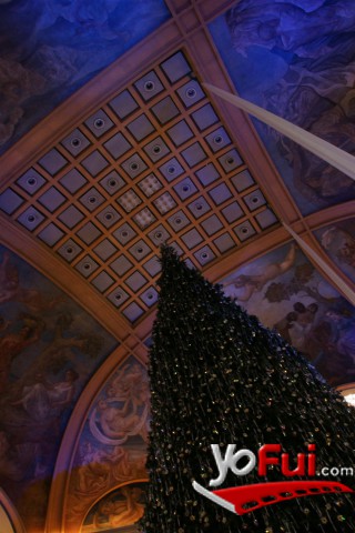 Fotografía en Encendido del Árbol Navideño de Cristales Swarovski, Galerías Pacífico
