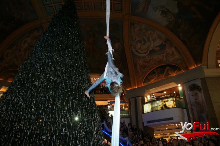 Fotografía en Encendido del Árbol Navideño de Cristales Swarovski, Galerías Pacífico