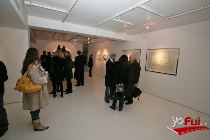 Imágenes Coloidales en Artespacio