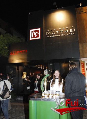 Acceso a Galería Matthei