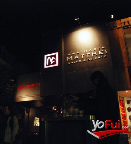 Frontis Galería Matthei
