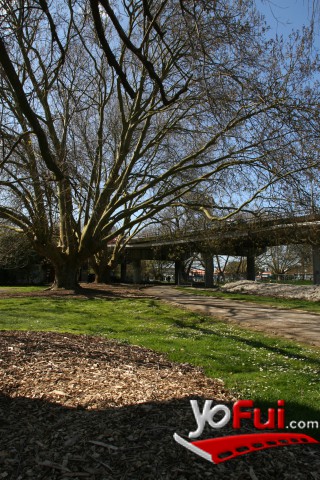 Victoria Park