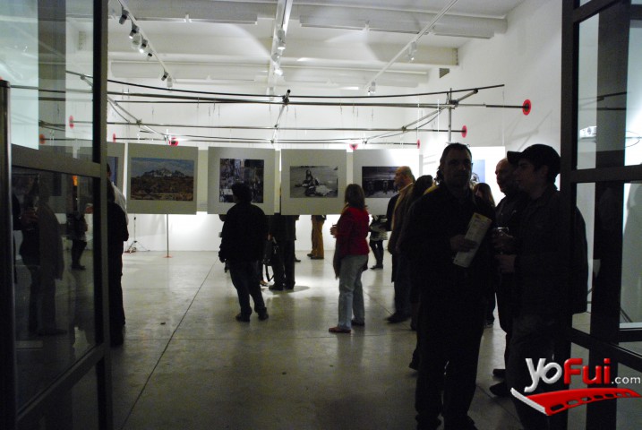 Galería Animal