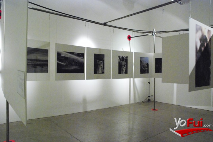 Galería Animal