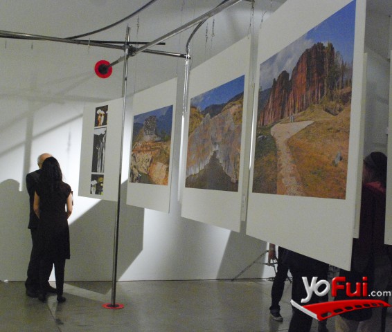 Galería Animal