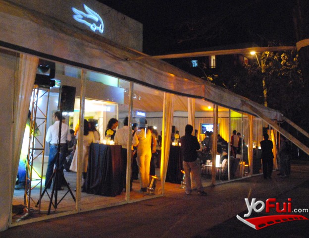 Fiesta Lacoste