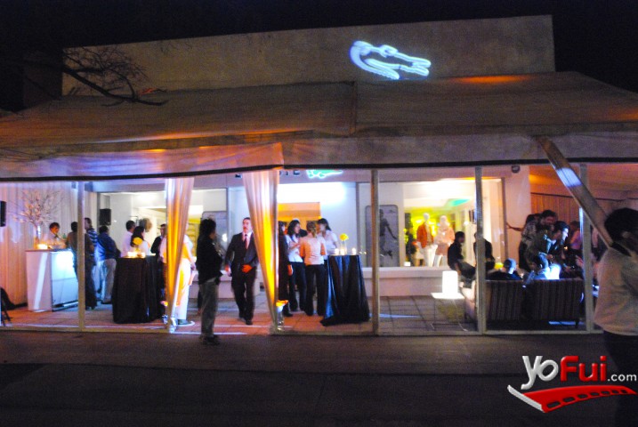 Fiesta Lacoste