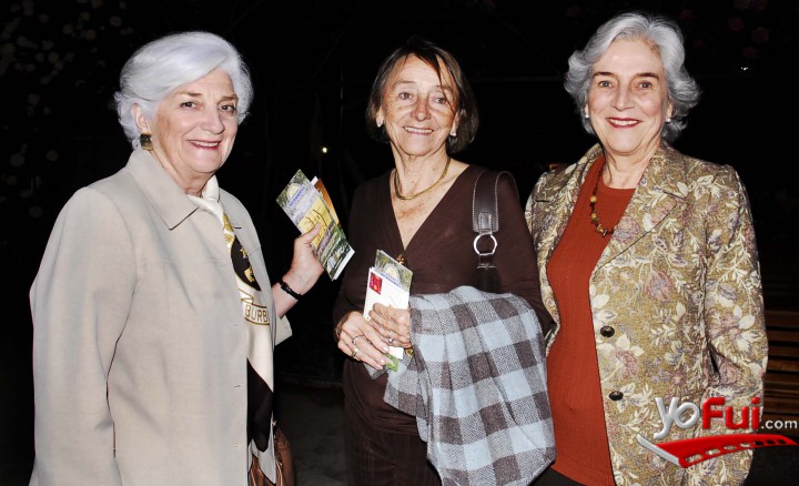 Paz Baraona, María Angélica Errázuriz, Luz Lecaros