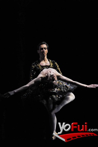 El Lago de los Cisnes (Teatro Municipal de Santiago)
