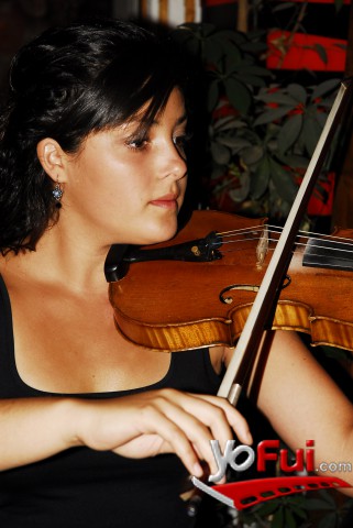 Violinista