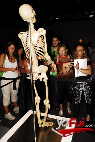 Inauguración : Bodies The Exhibition (Espacio Kennedy)