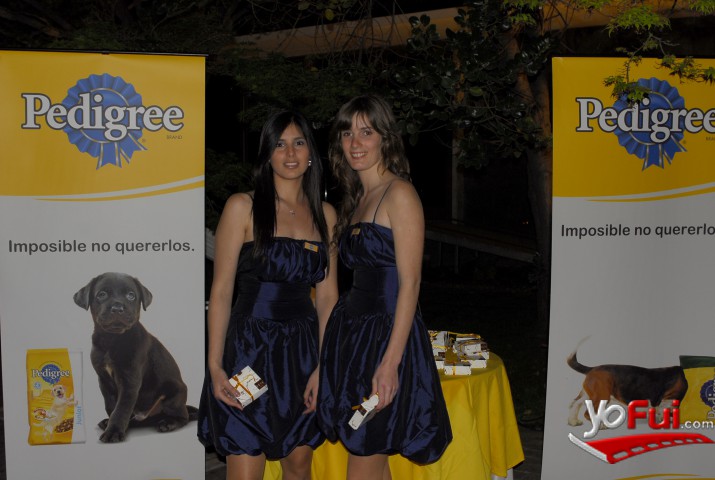 Team Pedigree