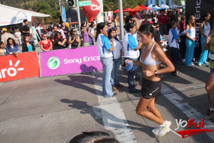 Corrida Brooks