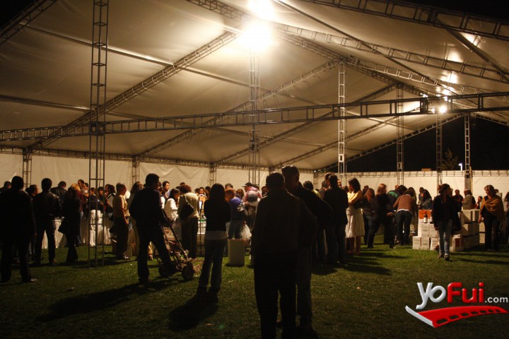 Fiesta de la Vendimia en Parque Bicentenario