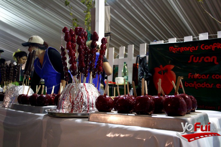 Fiesta de la Vendimia en Parque Bicentenario
