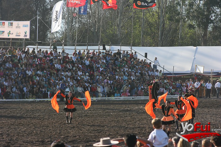 XV Semana de la Chilenidad