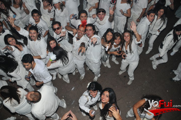 Sensation White 2010