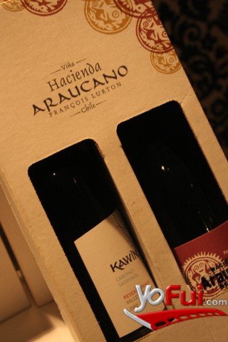 Degustación Viña Hacienda Araucano