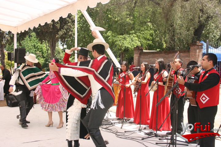 Bafochi