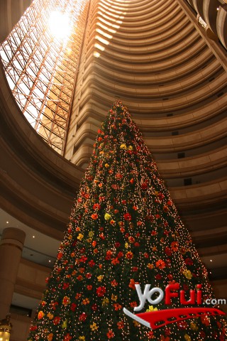 Arbol de los sueños