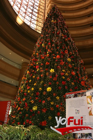 Arbol de los sueños