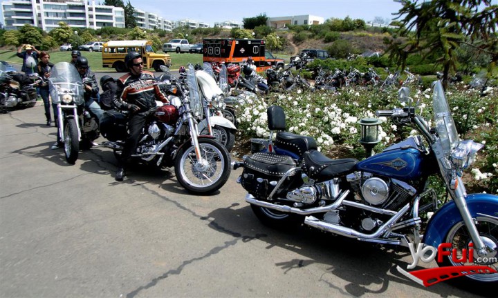 Fotografía en Encuentro anual Harley Davidson, Club House Marbella