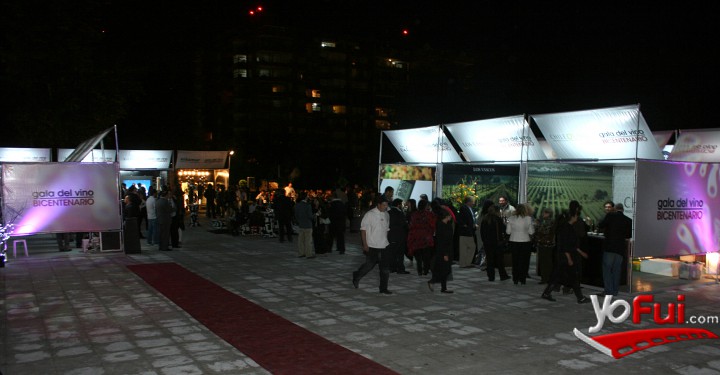 Inauguración Gala del Vino 2010