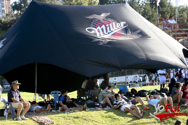 Miller Seven Viña