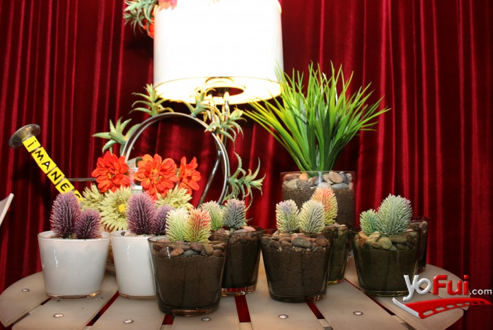 Bazar de trasnoche en Amanda