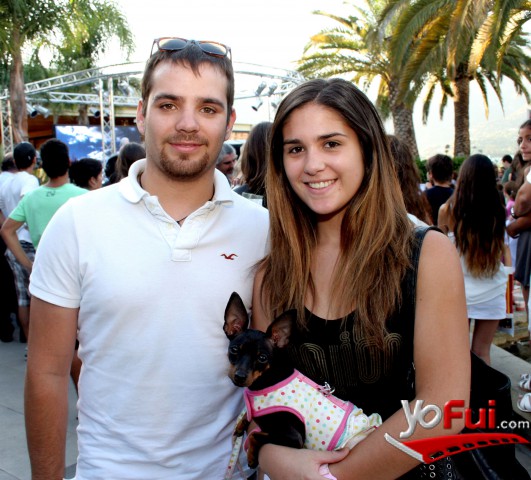 Felipe Soares, Stephany Teare