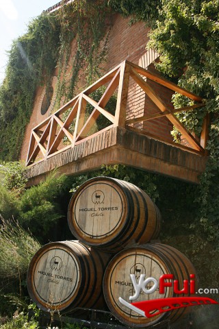 Viña Miguel Torres