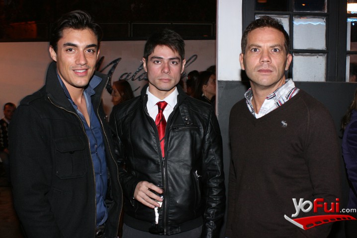 Rodrigo Castro, Francisco Irarrazabal, Sergio Matte