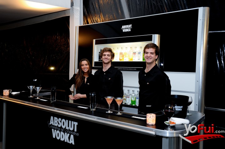 Barra y Equipo Bartenders Absolut