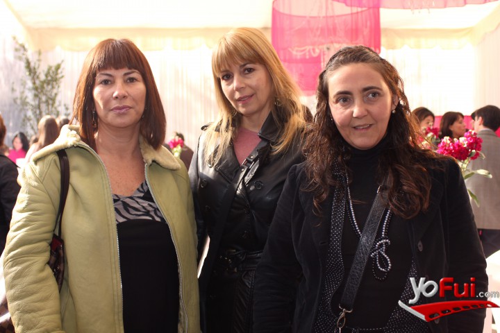 Paola Panisello, Carmen Gloria Rojas, Beatriz Chavarri