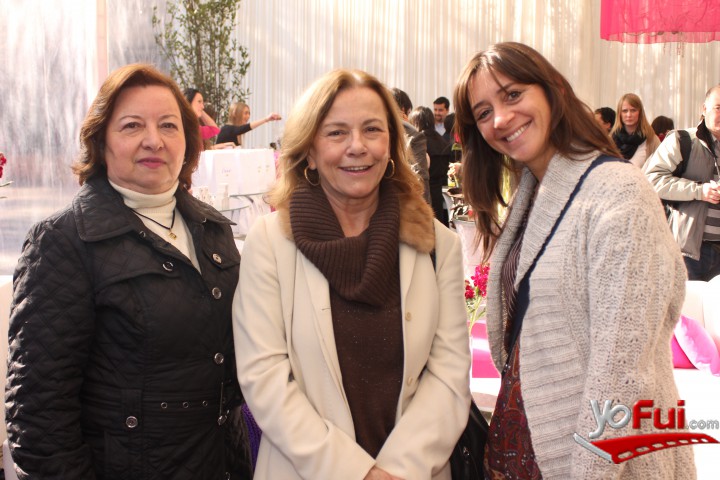 Marina Meneses Weber, María de la Luz Repenning, Soledad Warnken