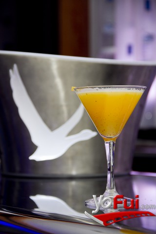 Fotografía en Evento Grey Goose, Hotel Noi
