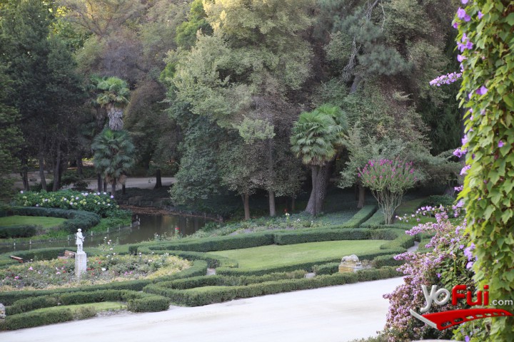 Vista Parque Hotel Casa Real