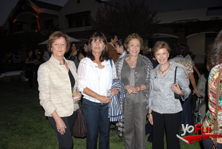 Luz María Correa, Begoña Aresti, Carmen Vicuña, Josette Methais