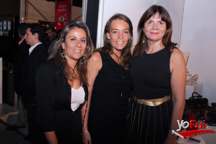 Claudia Ilabaca, Carolina Rojas, María Angelica Vásquez