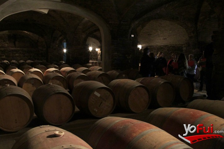 Bodegas