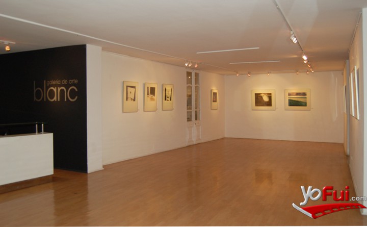 Exposición  Paisajes en Diálogo  de las artistas Isabel Cauas y Magdalena Ludwig