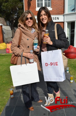 Consuelo Labbe, Consuelo Briones